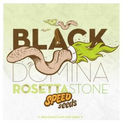 Black Domina x Rosetta Stone feminized, 30 фем
