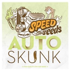 семена конопли сорт Auto Skunk feminized