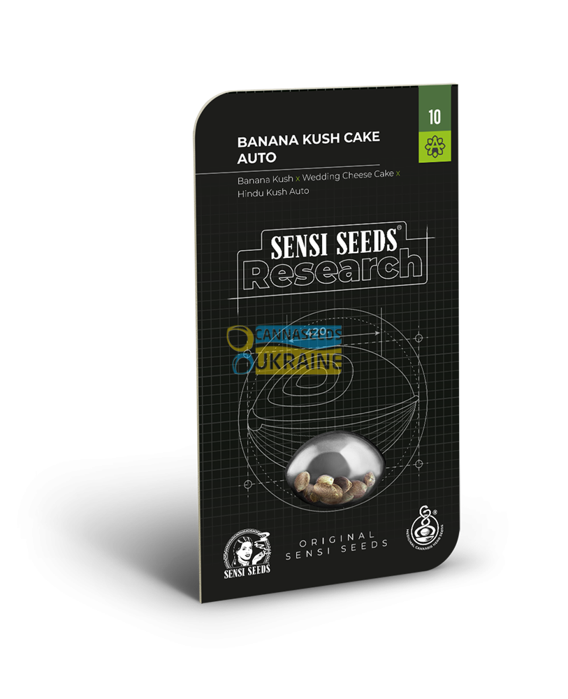 Купить семена конопли Auto Banana Kush Cake feminized, Sensi Seeds research  : 1 авто фем - Сидбанк Sensi Seeds, семена с доставкой