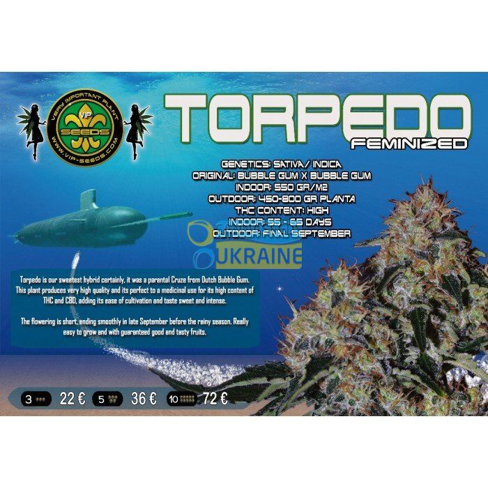 Купить семена конопли Torpedo feminised : 3 фем - Сидбанк VIP SEEDS ...