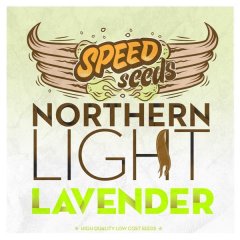 семена конопли сорт Northern Light x Lavender feminized, Speed Seeds
