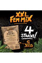 семена конопли сорт XXL Mix feminized, Seedstockers