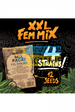 XXL Mix feminized, Seedstockers
