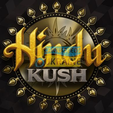 Hindu Kush Feminised, Barney's Farm