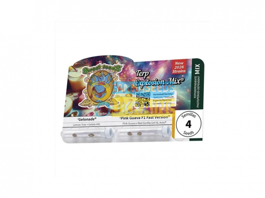 Terp Explosion Mix Feminizadas, Sweet Seeds