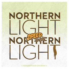 Northern Light feminized, 30 фем