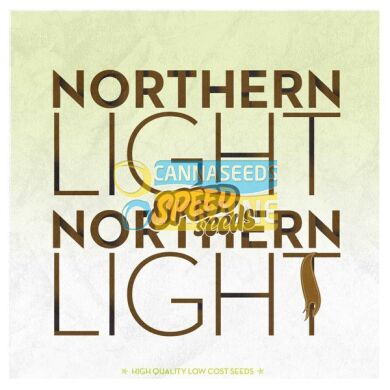 Northern Light feminized, 60 фем