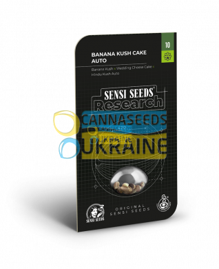 семена конопли сорт Auto Banana Kush Cake feminized, Sensi Seeds research