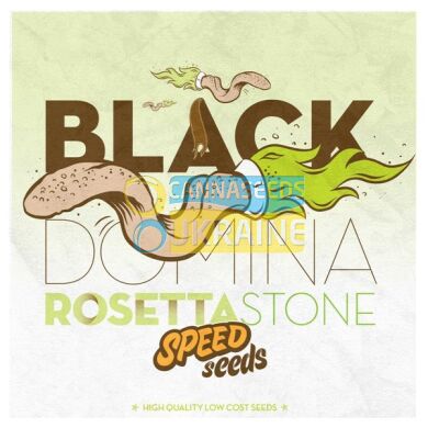 семена конопли сорт Black Domina x Rosetta Stone feminized