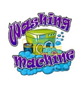 Washing Machine feminized, 5 фем