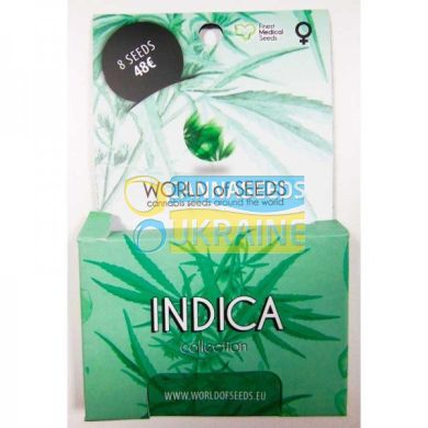 Indica Collection feminized, World of Seeds