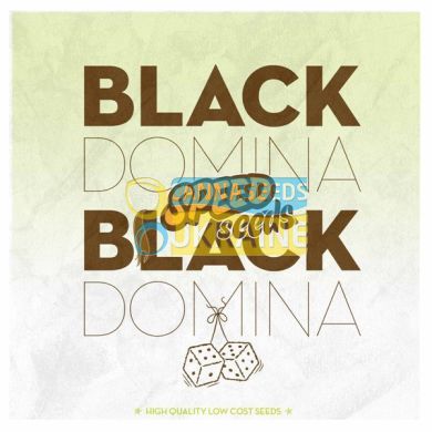 Black Domina feminized, 60 фем