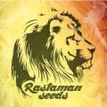 Rastaman Seeds