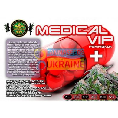 Medical VIP feminised, 3 фем