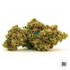 Auto Zkittly Zi Zi feminized