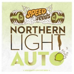 семена конопли сорт Auto Northern Light feminized, Speed Seeds
