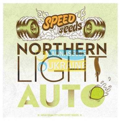 семена конопли сорт Auto Northern Light feminized