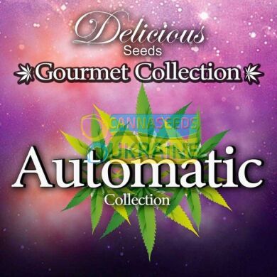 Auto Collection feminized №1, Delicious Seeds