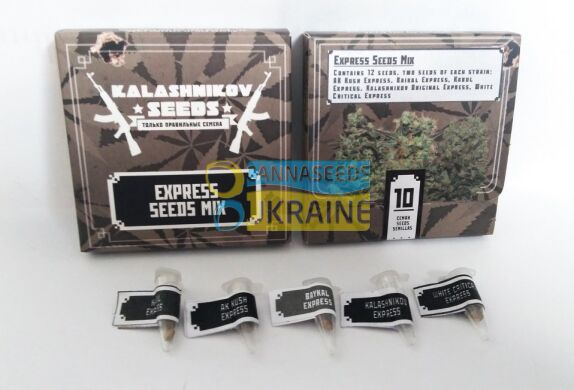 семена конопли сорт Express seeds mix fem, Kalashnikov Seeds
