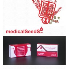 семена конопли сорт Collection 3, Medical Seeds