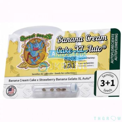 Auto Banana Cream Cake XL SWS121 feminized, Sweet seeds