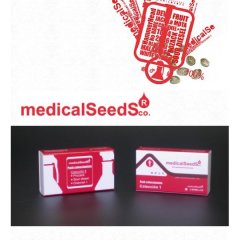 семена конопли сорт Collection 1, Medical Seeds