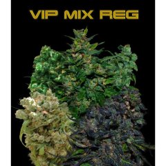 семена конопли сорт VIP Regular Mix, VIP SEEDS