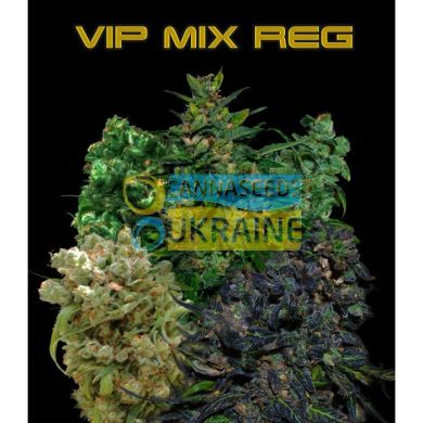 VIP Regular Mix, 10 рег