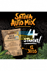 Auto Sativa Mix feminized, Seedstockers