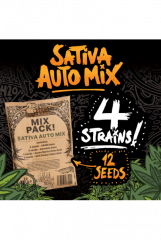 семена конопли сорт Auto Sativa Mix feminized, Seedstockers